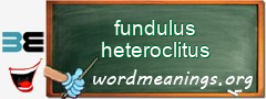 WordMeaning blackboard for fundulus heteroclitus
